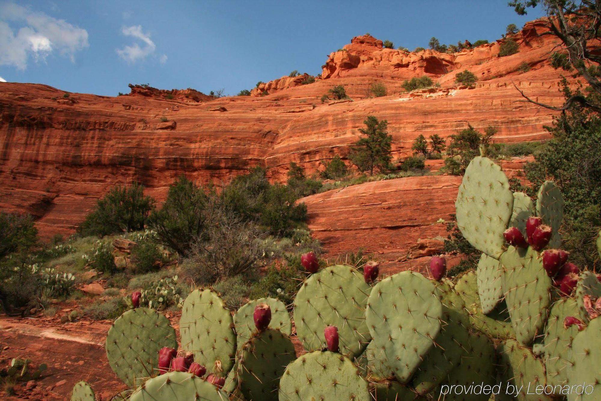 Orchards Inn Sedona Zewnętrze zdjęcie